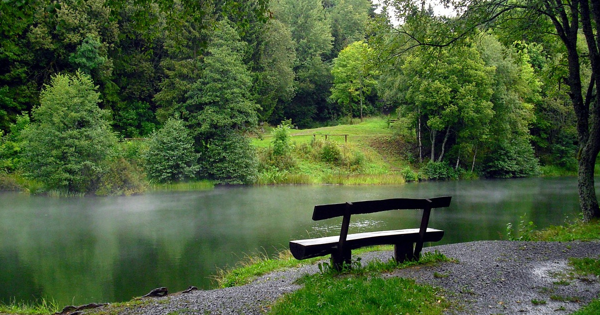 Imagen Forest Jigsaw Puzzle